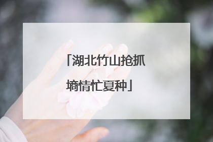 湖北竹山抢抓墒情忙夏种