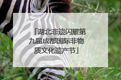湖北非遗闪耀第九届成都国际非物质文化遗产节