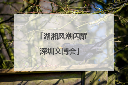 湖湘风潮闪耀深圳文博会