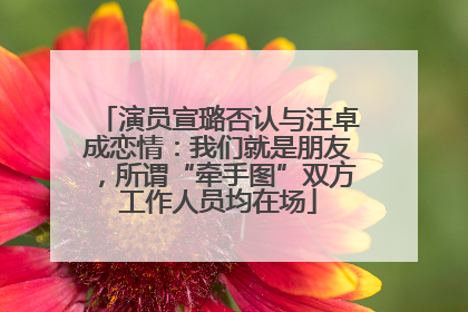 演员宣璐否认与汪卓成恋情：我们就是朋友，所谓“牵手图”双方工作人员均在场