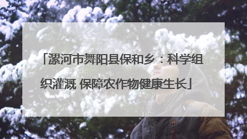 漯河市舞阳县保和乡：科学组织灌溉 保障农作物健康生长