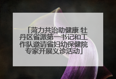 菏力共治助健康 牡丹区省派第一书记和工作队邀请省妇幼保健院专家开展义诊活动