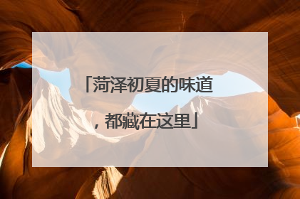 菏泽初夏的味道，都藏在这里