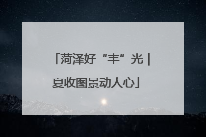 菏泽好“丰”光｜夏收图景动人心