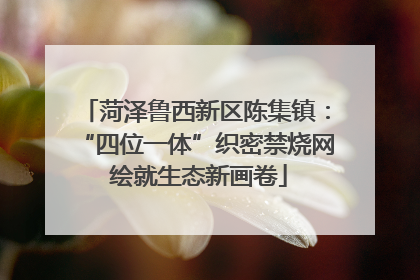 菏泽鲁西新区陈集镇：“四位一体”织密禁烧网 绘就生态新画卷