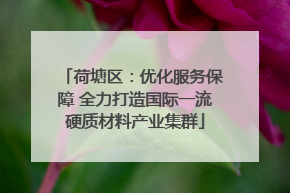 荷塘区：优化服务保障 全力打造国际一流硬质材料产业集群