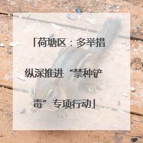 荷塘区：多举措纵深推进“禁种铲毒”专项行动