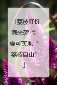 荔枝降价潮来袭 今夏可实现“荔枝自由”