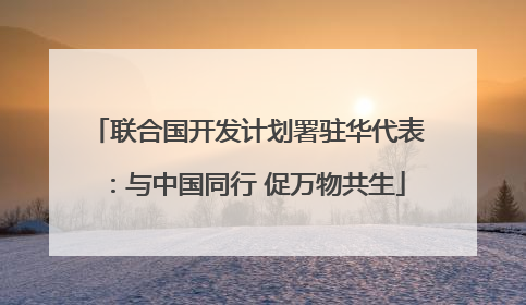 联合国开发计划署驻华代表：与中国同行 促万物共生