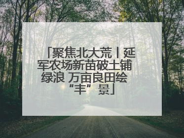 聚焦北大荒丨延军农场新苗破土铺绿浪 万亩良田绘“丰”景