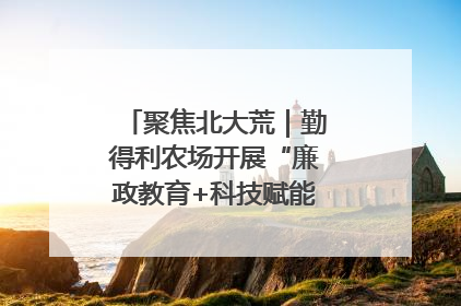 聚焦北大荒｜勤得利农场开展“廉政教育+科技赋能”主题党日活动