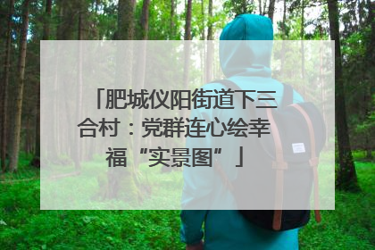 肥城仪阳街道下三合村：党群连心绘幸福“实景图”