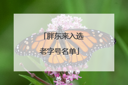 胖东来入选老字号名单
