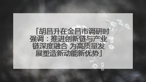 胡昌升在金昌市调研时强调：推进创新链与产业链深度融合 为高质量发展塑造新动能新优势