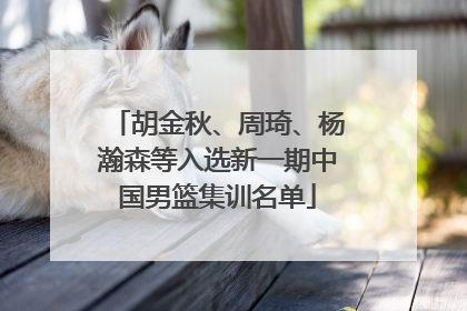 胡金秋、周琦、杨瀚森等入选新一期中国男篮集训名单