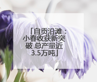 自贡沿滩：小春收获新突破 总产量近3.5万吨