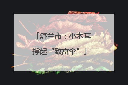 舒兰市：小木耳撑起“致富伞”