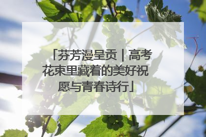 芬芳漫呈贡｜高考花束里藏着的美好祝愿与青春诗行