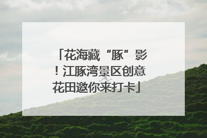 花海藏“豚”影！江豚湾景区创意花田邀你来打卡