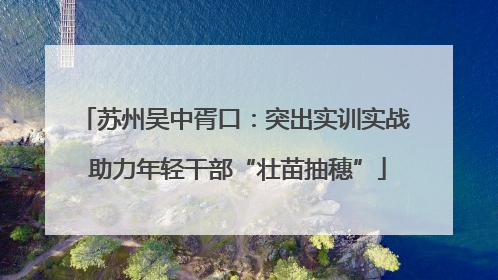 苏州吴中胥口：突出实训实战 助力年轻干部“壮苗抽穗”