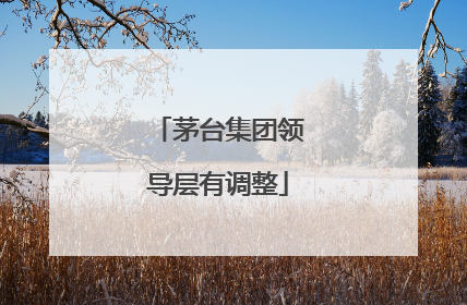 茅台集团领导层有调整