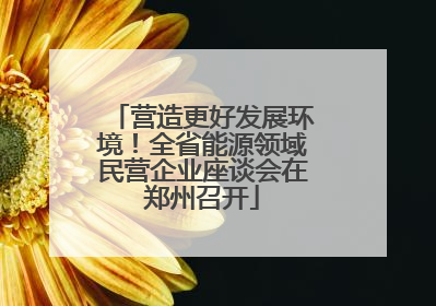 营造更好发展环境！全省能源领域民营企业座谈会在郑州召开