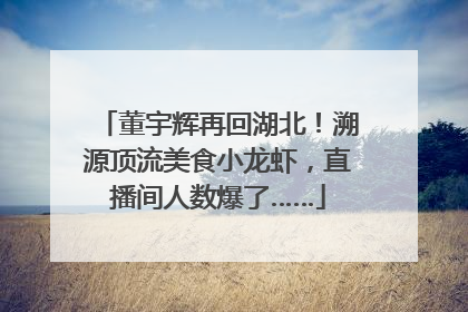 董宇辉再回湖北！溯源顶流美食小龙虾，直播间人数爆了……