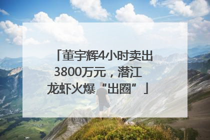 董宇辉4小时卖出3800万元，潜江龙虾火爆“出圈”