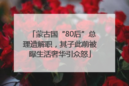 蒙古国“80后”总理遭解职，其子此前被曝生活奢华引众怒