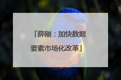 薛刚：加快数据要素市场化改革