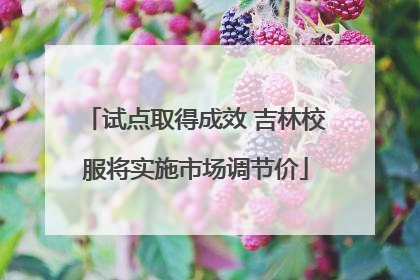 试点取得成效 吉林校服将实施市场调节价