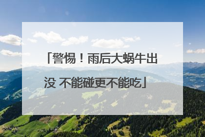 警惕！雨后大蜗牛出没 不能碰更不能吃