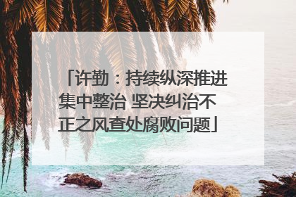 许勤：持续纵深推进集中整治 坚决纠治不正之风查处腐败问题