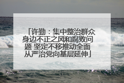 许勤：集中整治群众身边不正之风和腐败问题 坚定不移推动全面从严治党向基层延伸