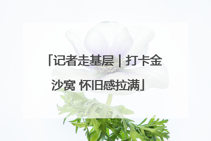 记者走基层｜打卡金沙窝 怀旧感拉满
