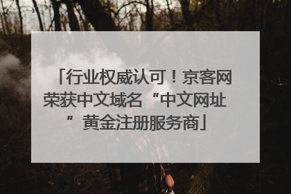 行业权威认可！京客网荣获中文域名“中文网址”黄金注册服务商