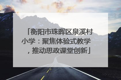 衡阳市珠晖区泉溪村小学：聚焦体验式教学，推动思政课堂创新