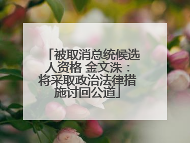 被取消总统候选人资格 金文洙：将采取政治法律措施讨回公道