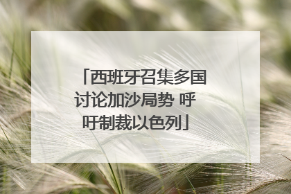 西班牙召集多国讨论加沙局势 呼吁制裁以色列