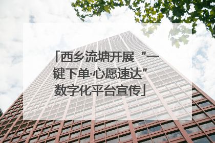 西乡流塘开展“一键下单·心愿速达”数字化平台宣传