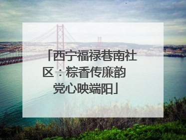 西宁福禄巷南社区：粽香传廉韵 党心映端阳