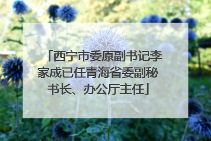 西宁市委原副书记李家成已任青海省委副秘书长、办公厅主任