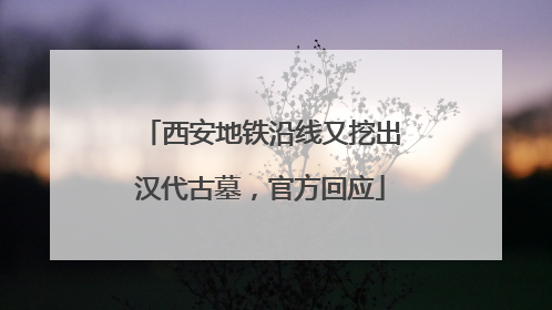 西安地铁沿线又挖出汉代古墓，官方回应