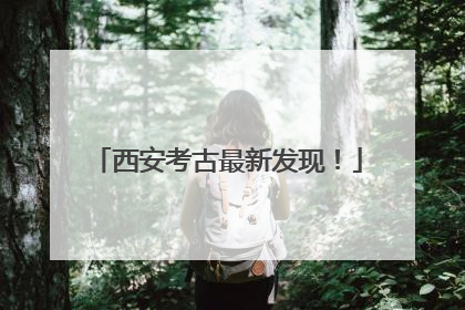 西安考古最新发现！