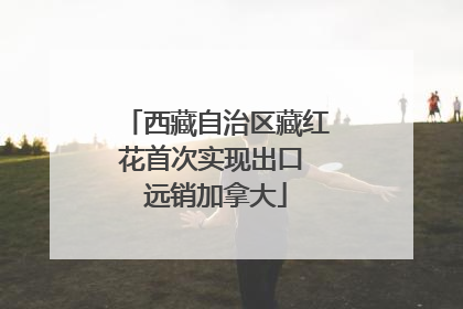 西藏自治区藏红花首次实现出口 远销加拿大