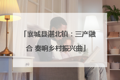 襄城县湛北镇：三产融合 奏响乡村振兴曲