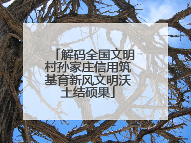 解码全国文明村孙家庄信用筑基育新风文明沃土结硕果