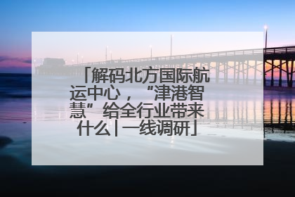 解码北方国际航运中心，“津港智慧”给全行业带来什么│一线调研