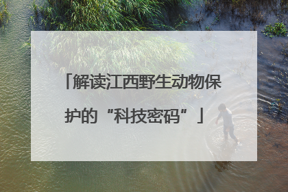 解读江西野生动物保护的“科技密码”