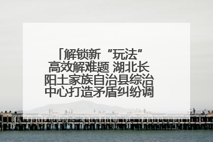 解锁新“玩法” 高效解难题 湖北长阳土家族自治县综治中心打造矛盾纠纷调处“终点站”